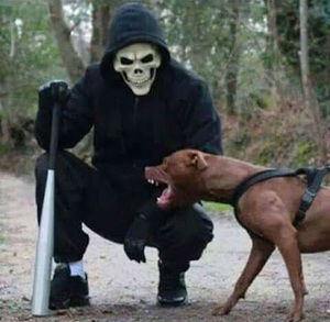 Meet your Posher, Eduardo